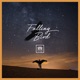 Falling Bird Single