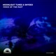 Voice of the Past Single