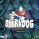 Sharkdog 2023 Single