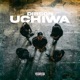 Uchiwa Single