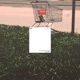 The Grocery Store Vol 1