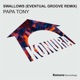 Swallows Eventual Groove Remix Single