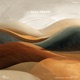 Space Bazaar Juliano Gomez Remix Single