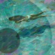 Aguamarina Single