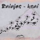 Koni