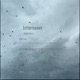 Bittersweet feat P Will Remix Single
