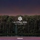 L O V La Otra Vida Instrumental