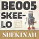 Skee Lo Dub Mix Single