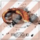 Fried Squid Per Nord Remix Single