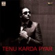 Tenu Karda Pyar feat Vee Ill Defined Single
