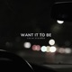 Want It To Be Single
