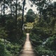 forever Instrumental Single