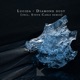 Diamond Dust Single