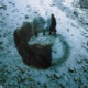 Hauntology Single