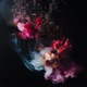 Light A Fire Single