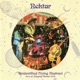 Unidentified Flying Abstract Live at Chipping Rorton 1974