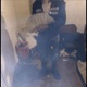 off tha xanz feat boulevard mitch Single