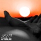 Afterlife Single