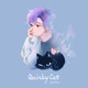 Quirky Cat