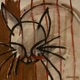 Hunt EP