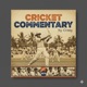 Cricket Commentary Single