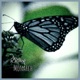 Black Monarch feat Lefty Lucy Osiris Character D3f3cts Single