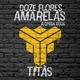 Doze Flores Amarelas A Ópera Rock