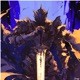 Mtg Paladino Single