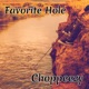 Favorite Hole Single