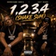 1 2 3 4 Shake Sum Bass Boosted Single