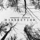 DISSECTION Single