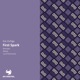First Spark NIQLA Remix Single