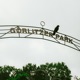Görlitzer Park Single