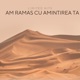 Am ramas cu amintirea ta feat Adrian Minune Single