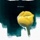 Spatterdock feat Reg Schwager Michel Lambert Single