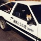Shiba Phonk Single