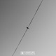 Bird Call Single