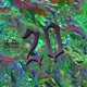 20 Single