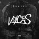 Voices Single