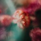 Dreaming of you Single