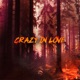 Crazy in Love Single