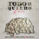 Todo Lo Quiero Remix Single