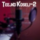 Teejko Koseli 2