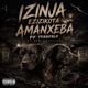 Izinja feat Terrible Single