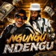 Ngungu Ndengu feat Hulengende Winky D Single