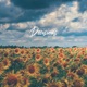 Decisions Single