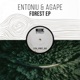 Forest EP