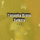 Totanha Dzatosvikira davita Single