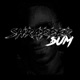Shrapper Sum