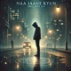 Naa Jaane Kyun feat Malick Faizan Haider Shah Single